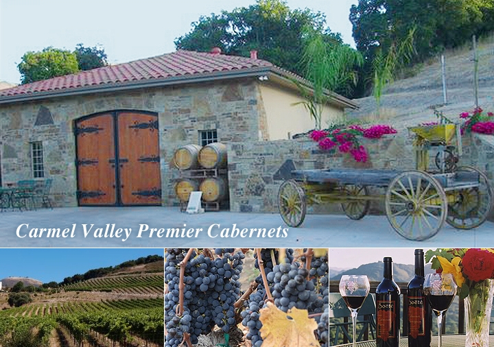 Carmel Valley Premier Cabenets